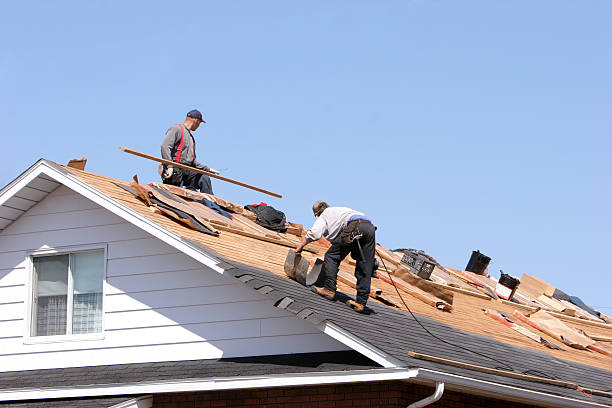 Best Green or Eco-Friendly Roofing Solutions  in Northbrook, IL